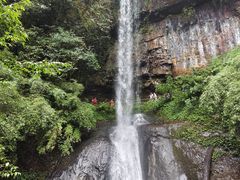 -龙苍沟森林公园