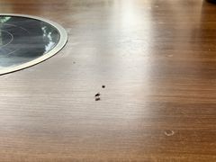 -瑞丽活螃蟹(芒市店)