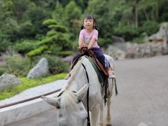 -枫香湖儿童公园