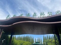 -黄海国家森林公园