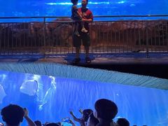 -华夏文旅海洋公园