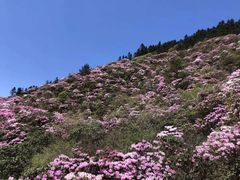 -井冈山风景名胜区