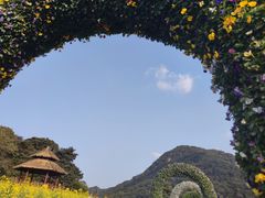 -广州市石门国家森林公园