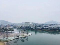 -上海佘山世茂艾美酒店