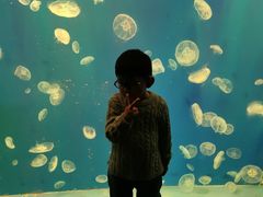 -江和美海洋公园