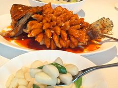 -洋洋中餐馆·SINCE 1997(龙湖星湖天街店)