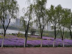 -滨湖塘西河公园