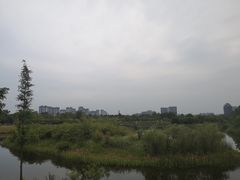 -眉山湿地公园(东坡区)