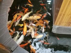 -上海大自然野生昆虫馆(东方明珠·爬宠昆虫探索中心)