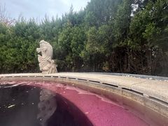 -大连金石滩绿发温泉假日酒店