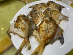 -鸿达渔港
