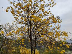 -中国移动南方基地