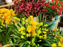 -双季花艺园艺市场(浦东店)