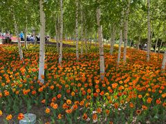 -长春公园(普阳街道)