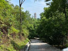 -分塔山省级森林公园