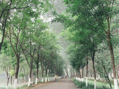-东郊湿地公园