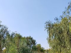 -武清南湖绿博园