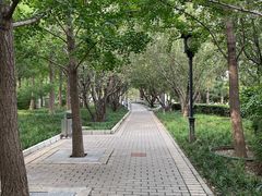 -德胜公园