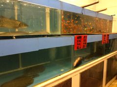 水产区-天津雅园饭店(成林道店)