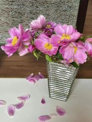 -美肤盾祛痘·问题肌管理中心