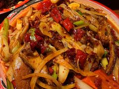 -柴窝堡22号辣子鸡·传承新疆菜