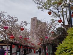 -回龙窝历史文化街区