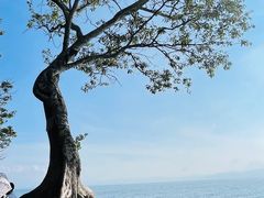 -抚仙湖禄充风景区