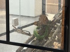 -上海昆虫博物馆