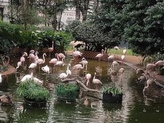 -九龙公园