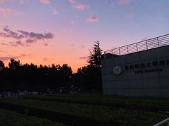 -北京科技大学-游泳馆