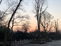 -广富林郊野公园