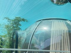 -百味地锅鸡(二店·财校分店)