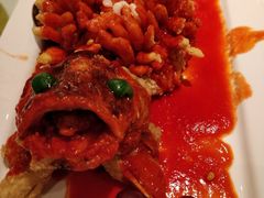 松鼠桂鱼-松鹤楼(狮山永利广场店)