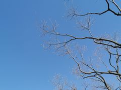 -上海山野camping·户外天幕烧烤·团建拓展营地