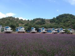 iphone_upload_pic-紫海香堤香草艺术庄园