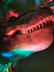 -恐龙探索乐园(磁器口店)