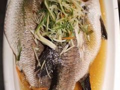 -小蓝鲸湖北菜(八一路店)