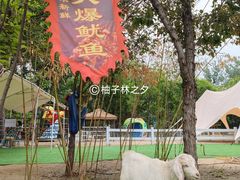 -1982农场