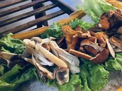 -老诚一锅羊蝎子(黄寺大街店)