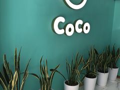 -CoCo都可(台东和兴店)