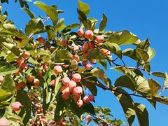 -北京国家会计学院