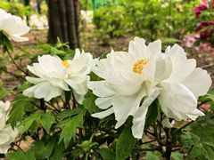-河南省黄河迎宾馆