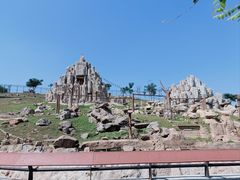 -石家庄市动物园