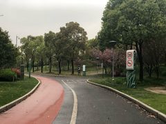 -金匮公园-南入口停车场