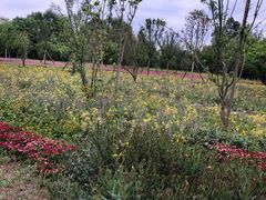 -桤木河湿地公园