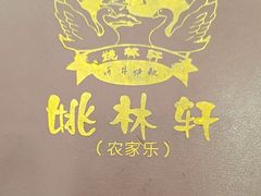 -姚林轩