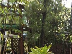 -新竹里馆·花园餐厅(兴苑路店)