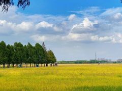 -嘉北郊野公园