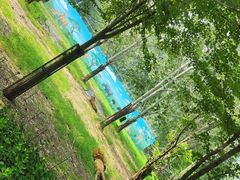 -秦皇岛野生动物园