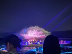 -长田漾湿地公园